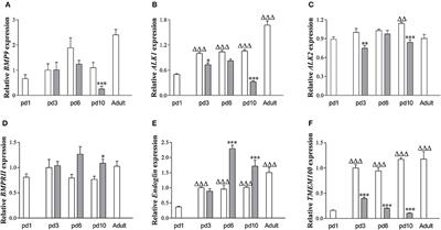 Bone Morphogenetic Protein 9 Protects against Neonatal Hyperoxia-Induced Impairment of Alveolarization and Pulmonary Inflammation